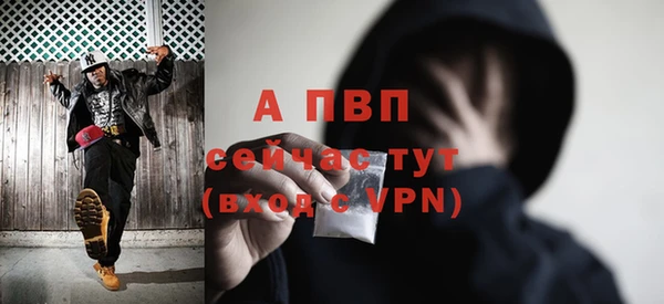 Альфа ПВП Белокуриха