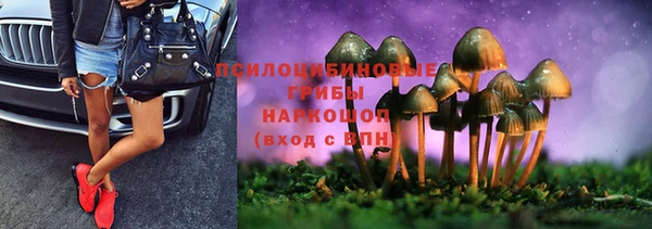 Альфа ПВП Белокуриха