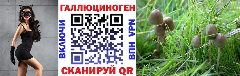 Псилоцибиновые грибы Psilocybine cubensis  где продают наркотики  Гаврилов-Ям 